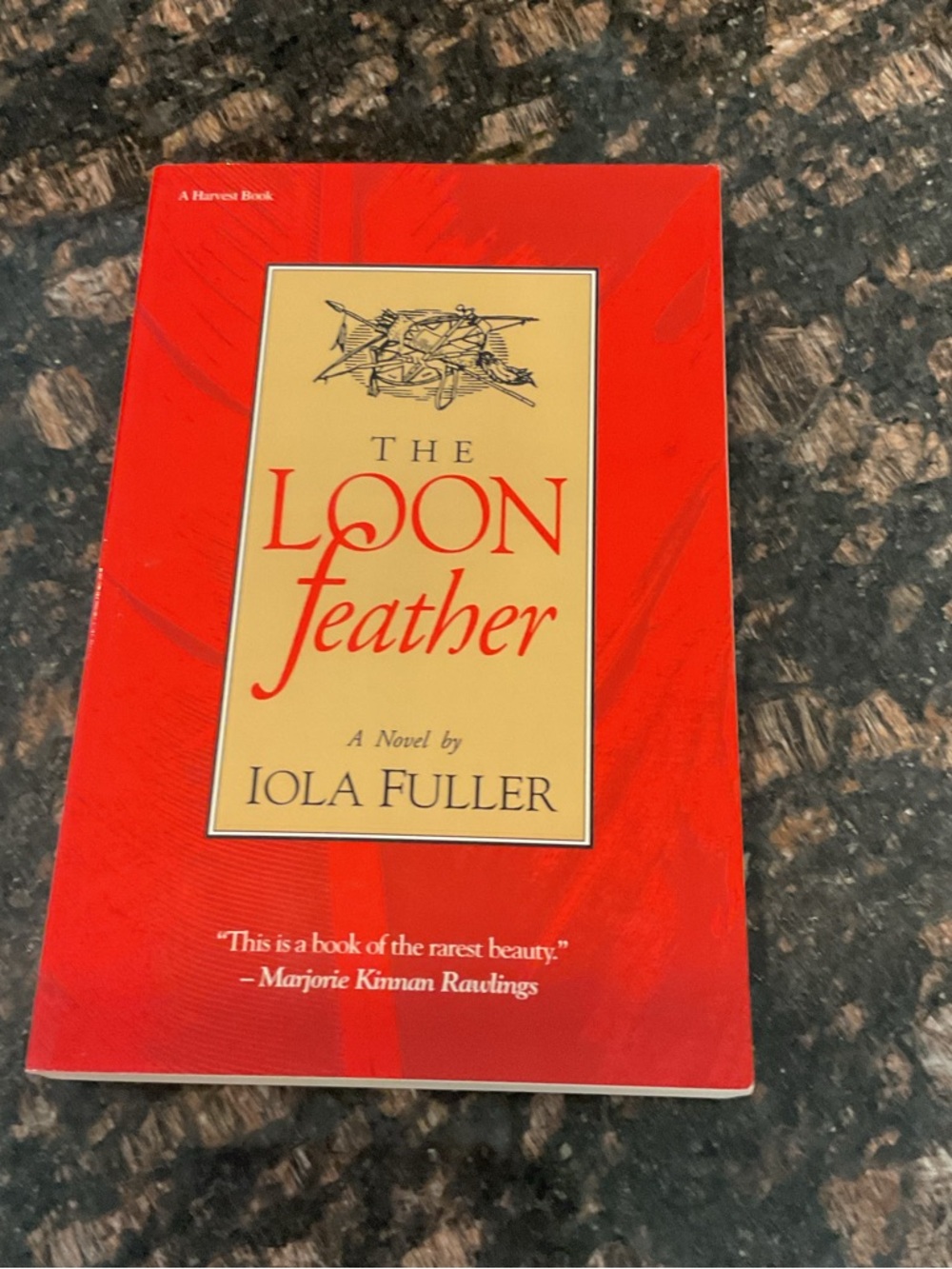 The Loon Feather by Iola Fuller